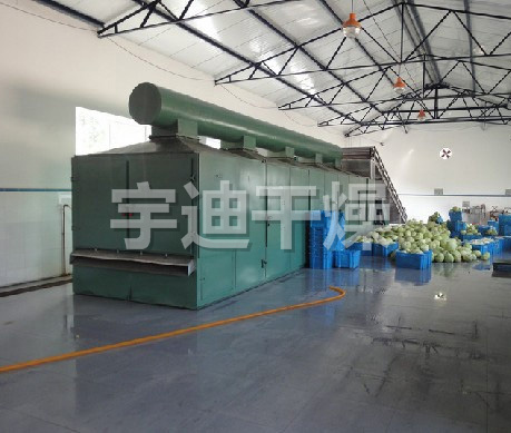 DWT系列脫水蔬菜干燥機(jī)