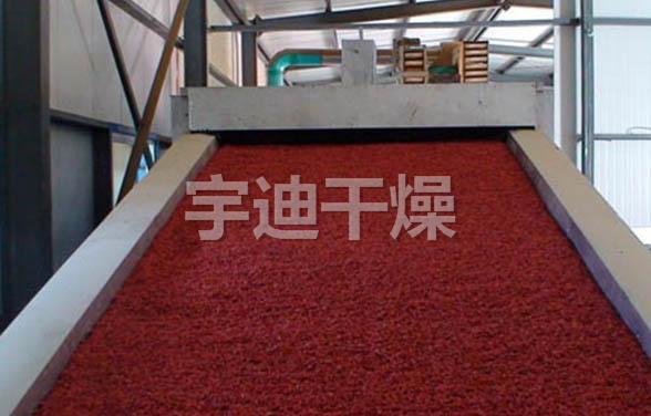 DWT系列脫水蔬菜干燥機(jī)